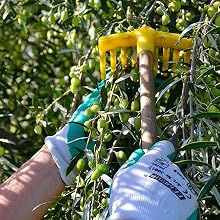 Organic greek olive oil raw unfiltered extra virgin olive oil organic