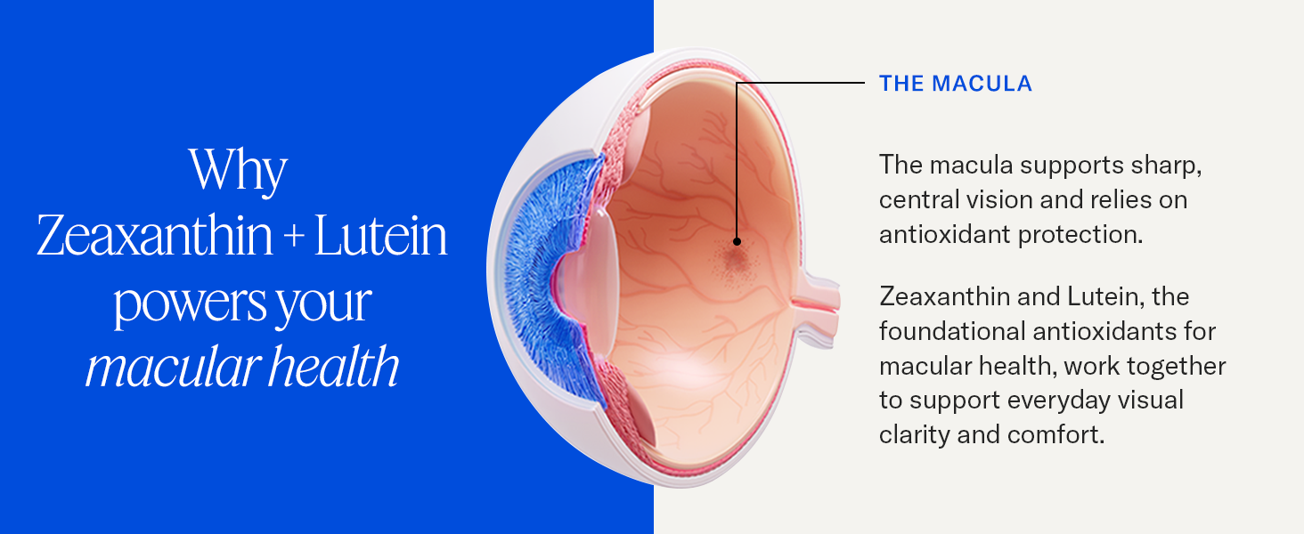 Zeaxanthin and Lutein work together to support everyday visual clarity and comfort.