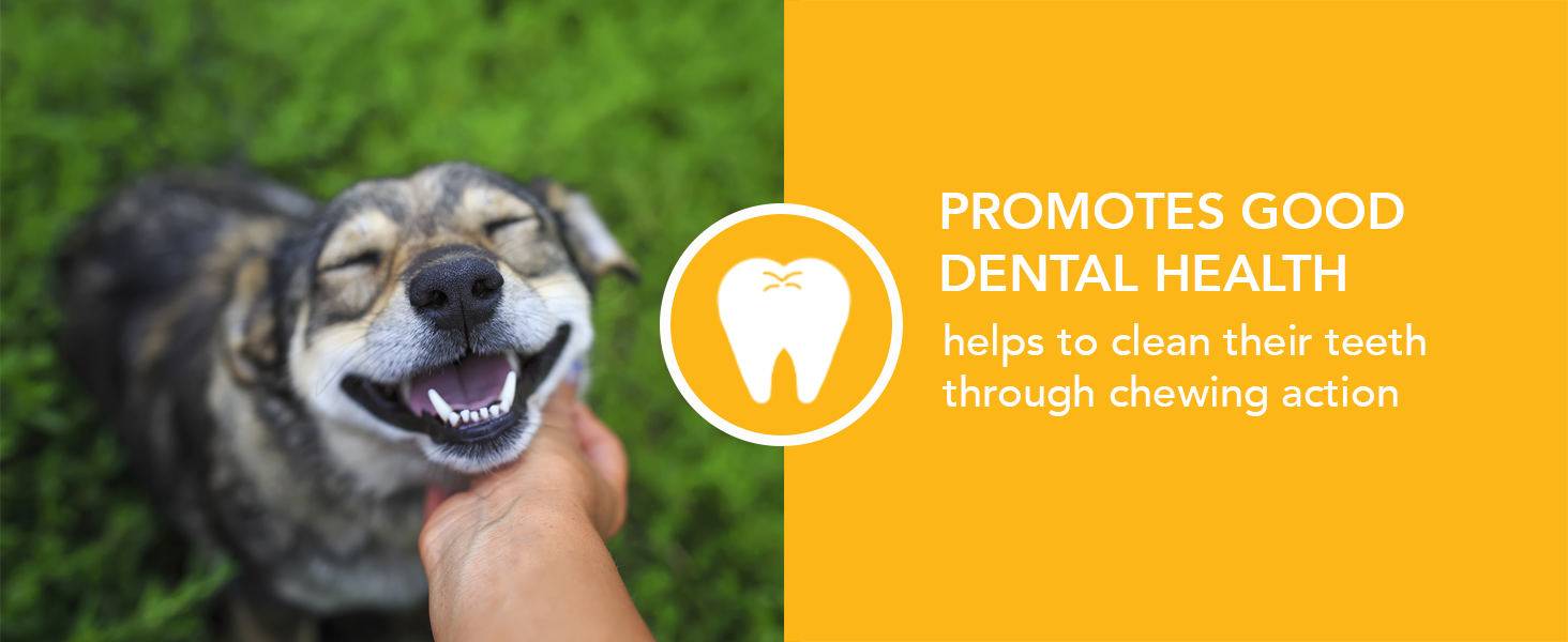 Dog being scratched text reads promoted good dental health cleans their teeth through chewing action