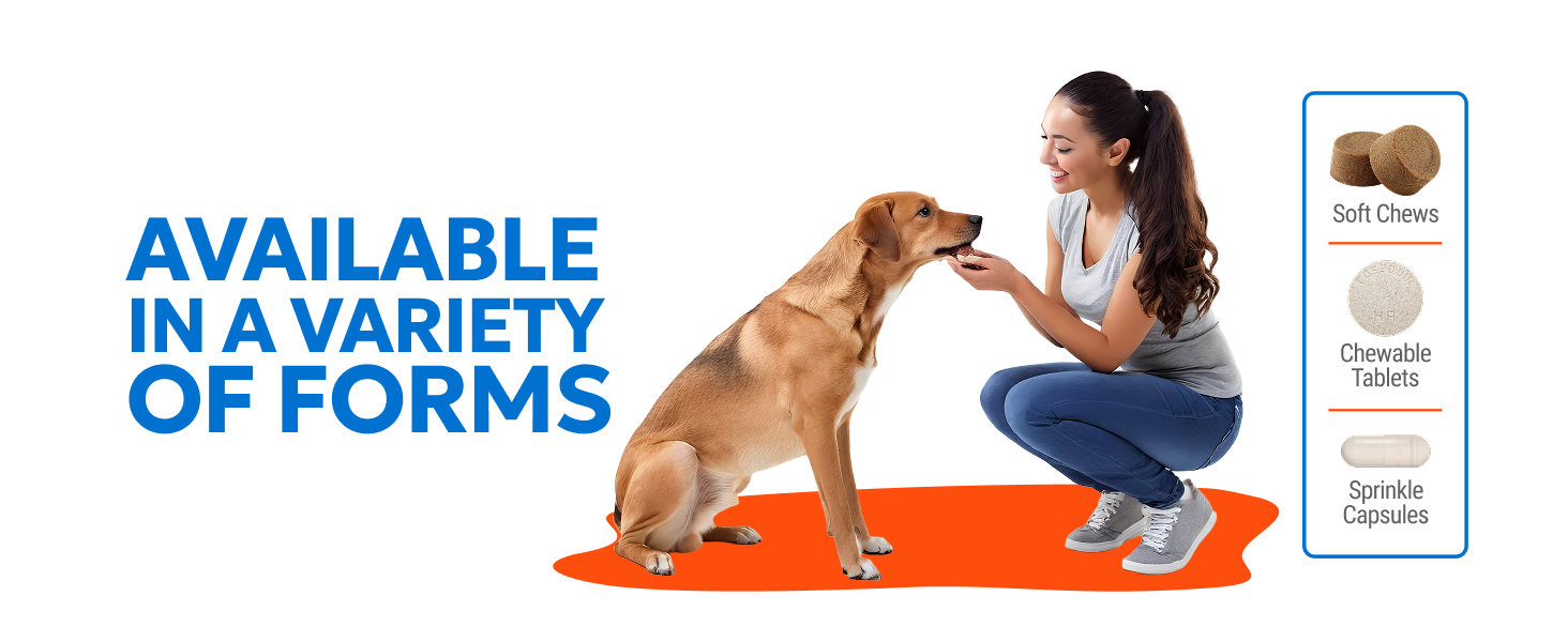 Cosequin Joint Health for Dogs