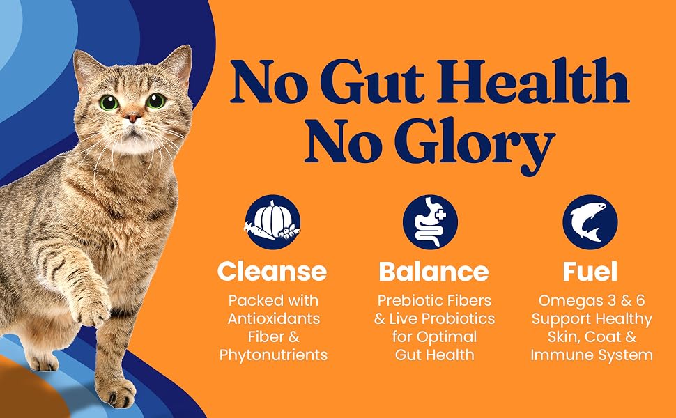 solid gold cat food indigo moon