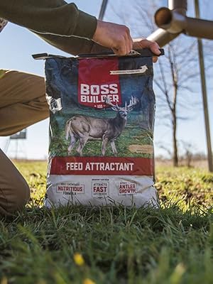 Boss Buck Feed
