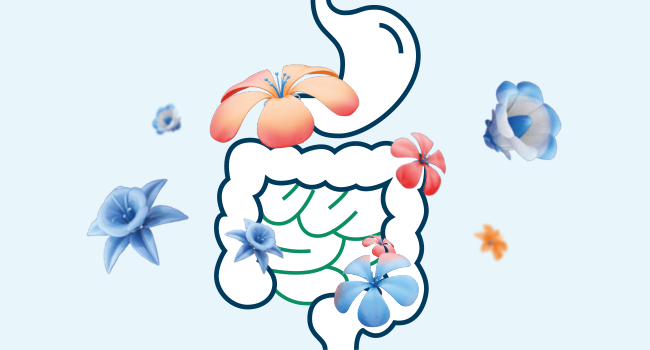 healthy digestive system