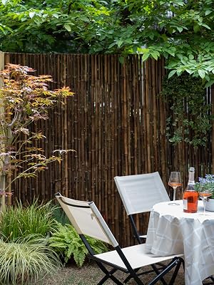 bamboo fence