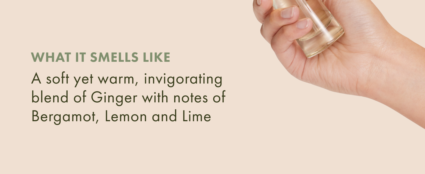 A soft yet warm, invigorating blend of Ginger with notes of Bergamot, Lemon, and Lime.