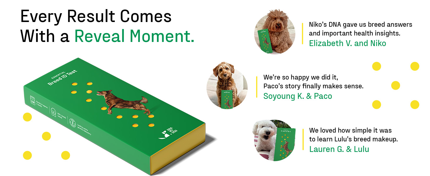 DNA MY DOG breed ID test box beside three customer photos