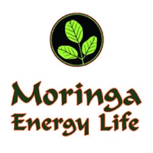 buy moringa products energy life product tree oleifera malunggay asian traditional salt shaker pink