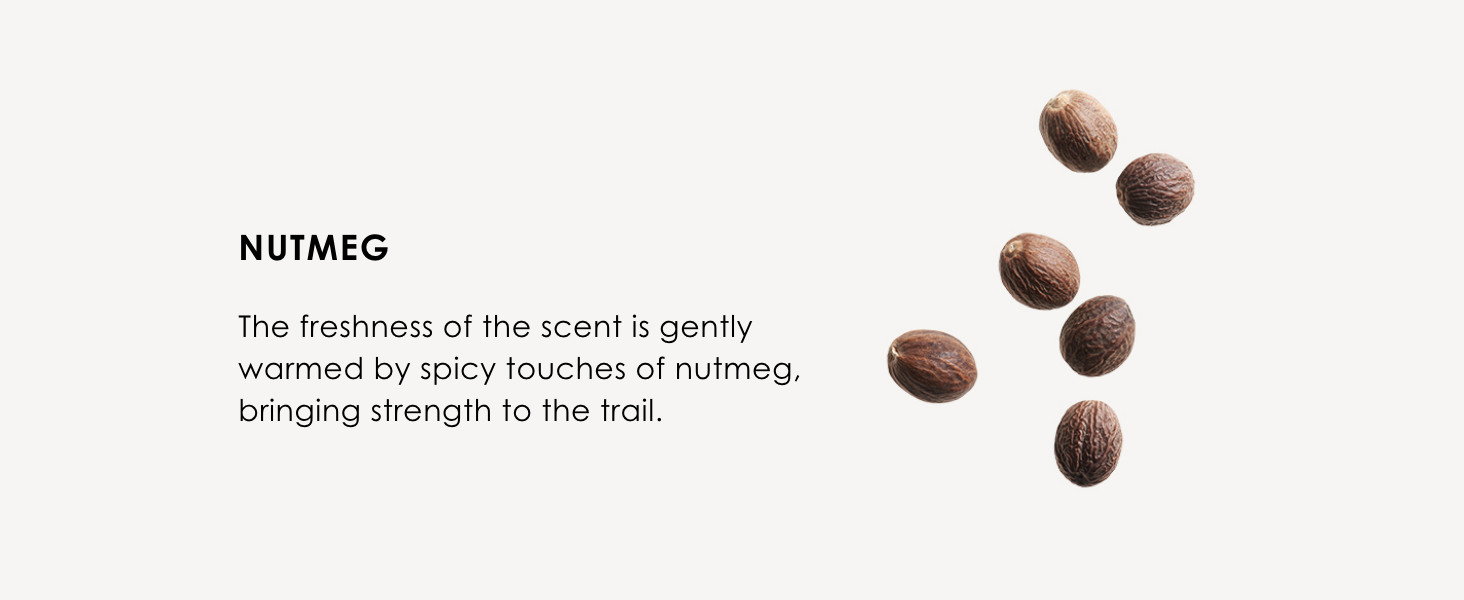 Nutmeg