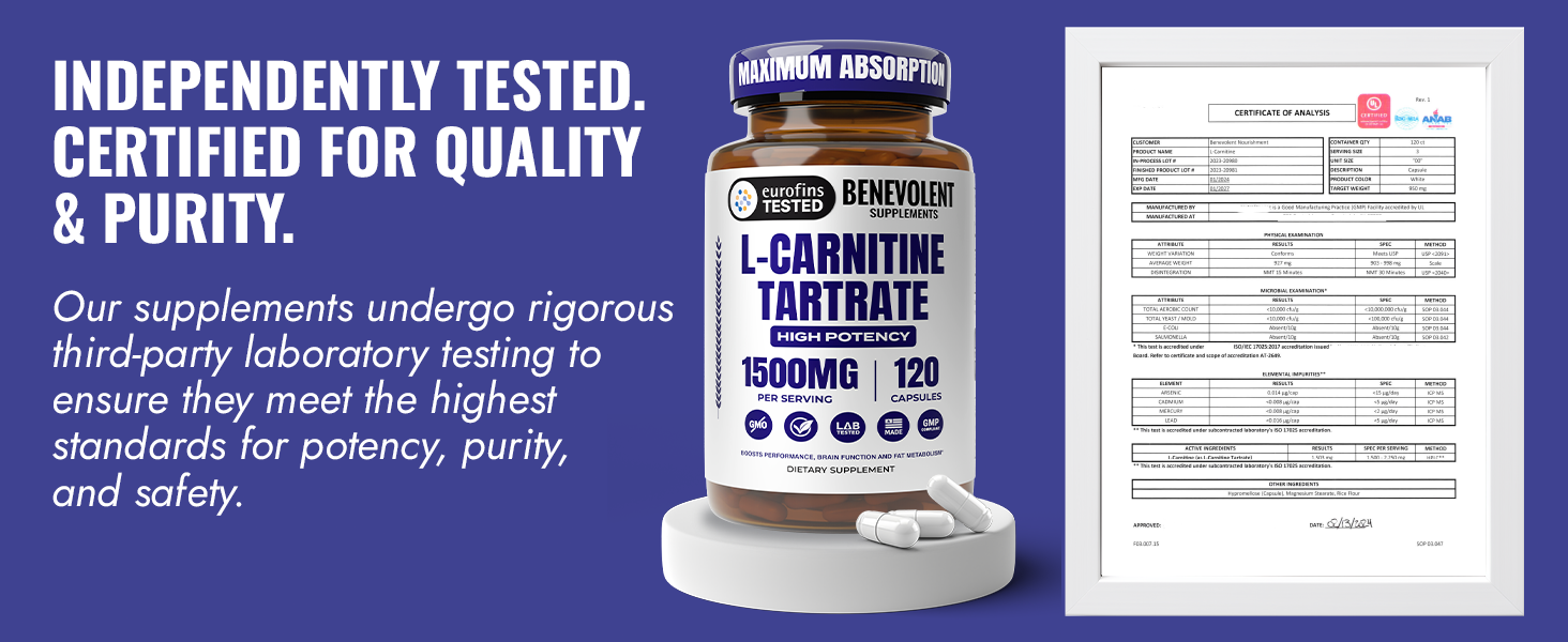 l carnitina para bajar de peso l-carnitine injection l carnitine weight loss for women