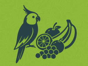 zupreem fruit blend conure food