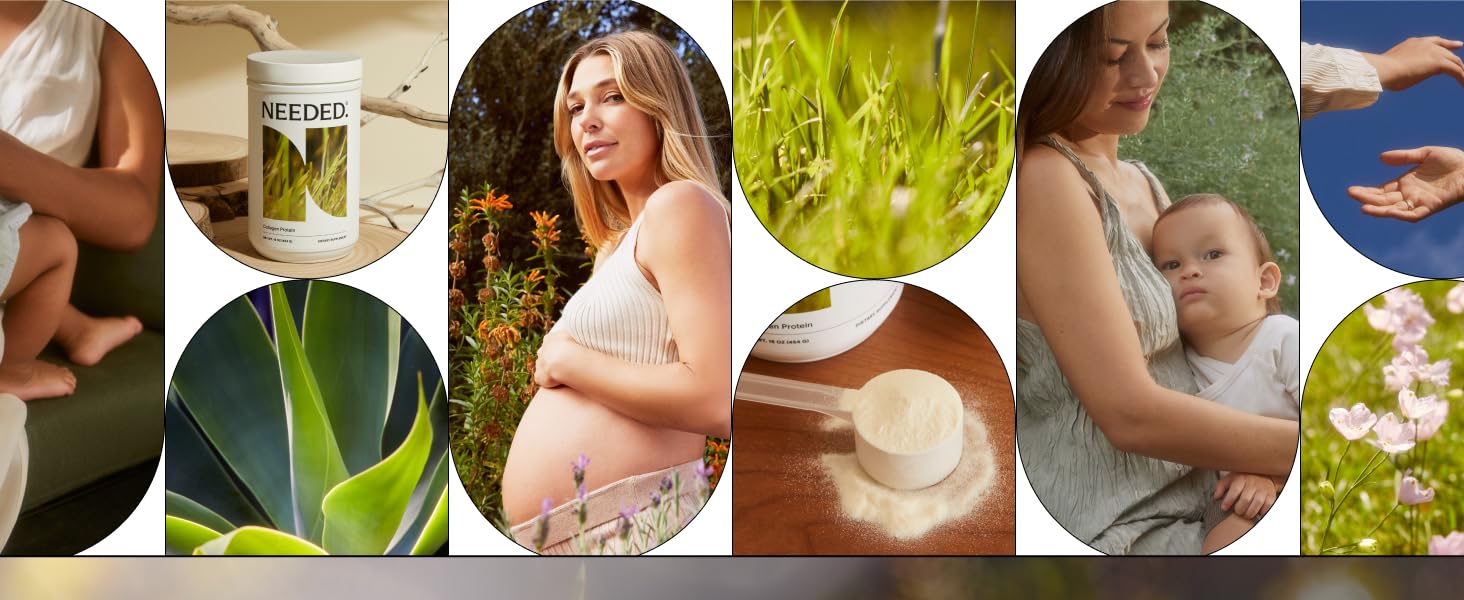 Prenatal Collagen Protein