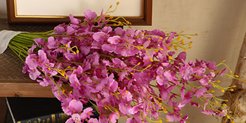 purple orchid