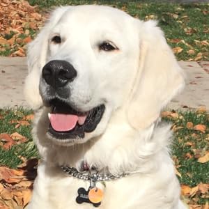 Teachers Pet Training Clicker for Dogs