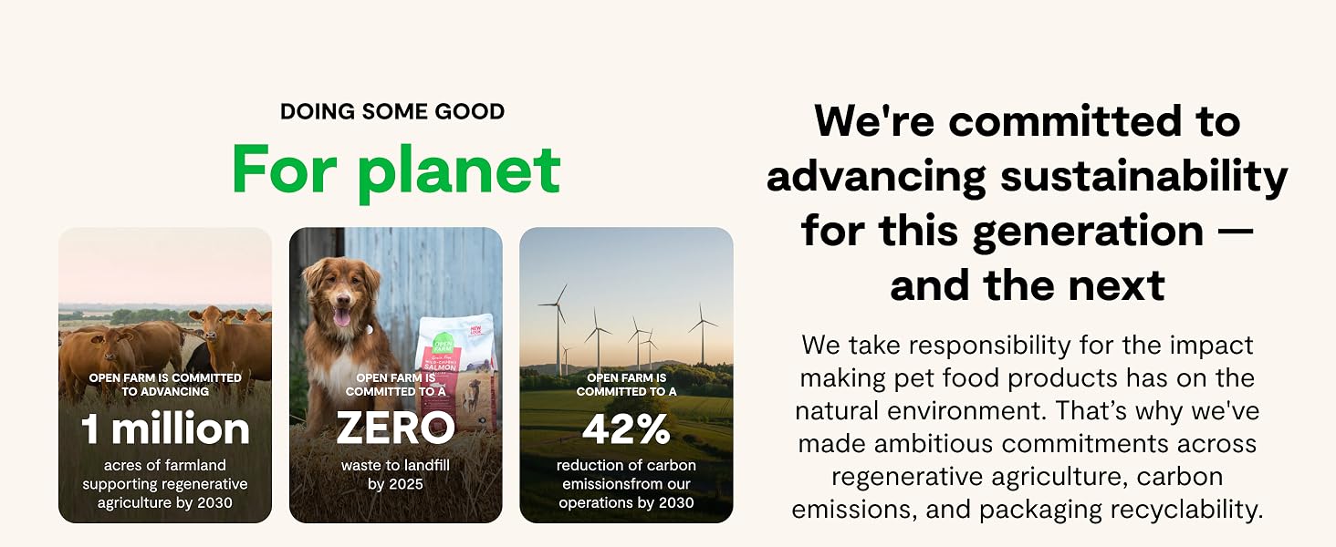 Sustainable Grain Free Dry Dog Food