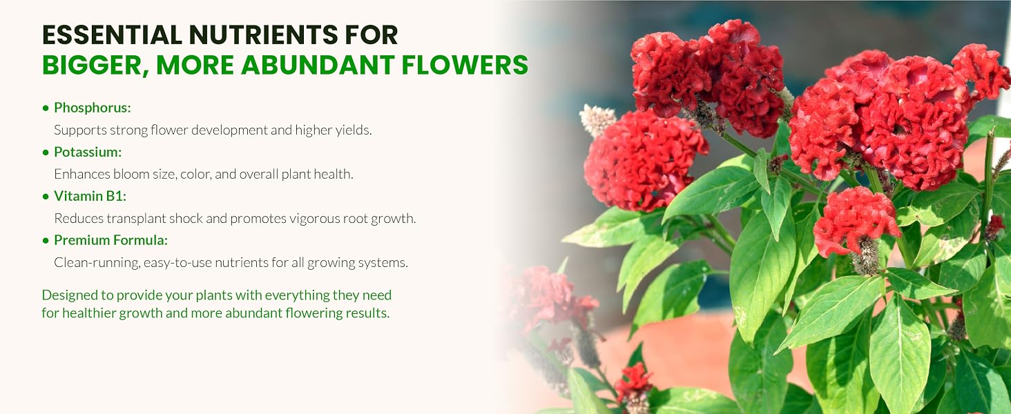 Flowering Fertilizer