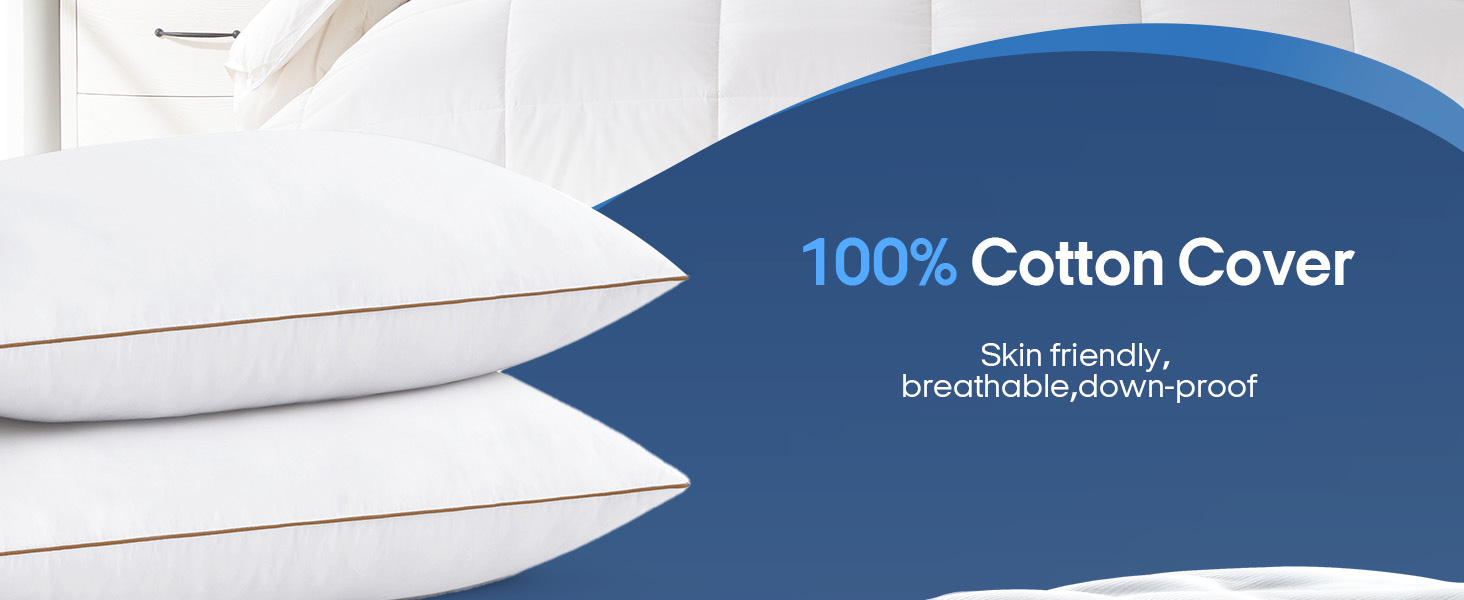 Goose Feathers and Down Pillows