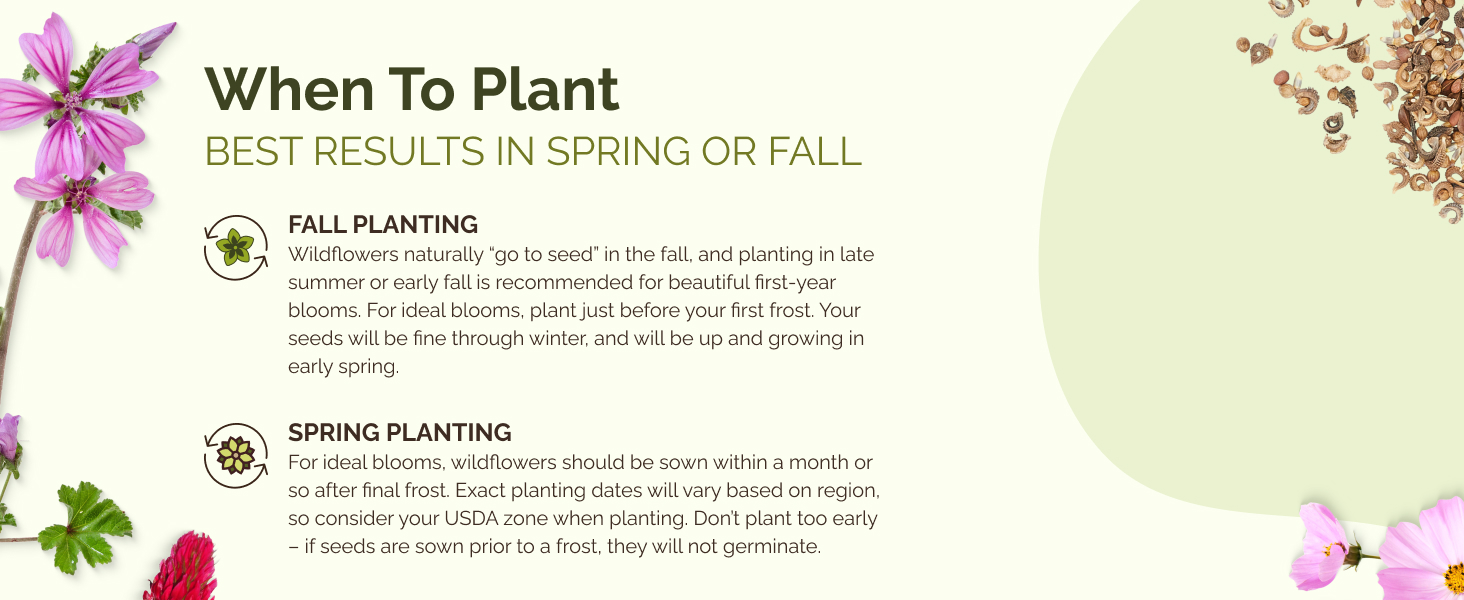fall flower seeds planting spring wildflower spring wildflower seeds