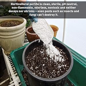 Perlite Description