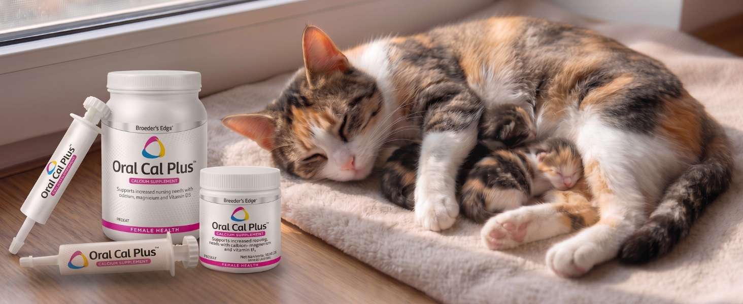 Mother cat nursing kittens beside Oral Cal Plus supplement on a soft cushion