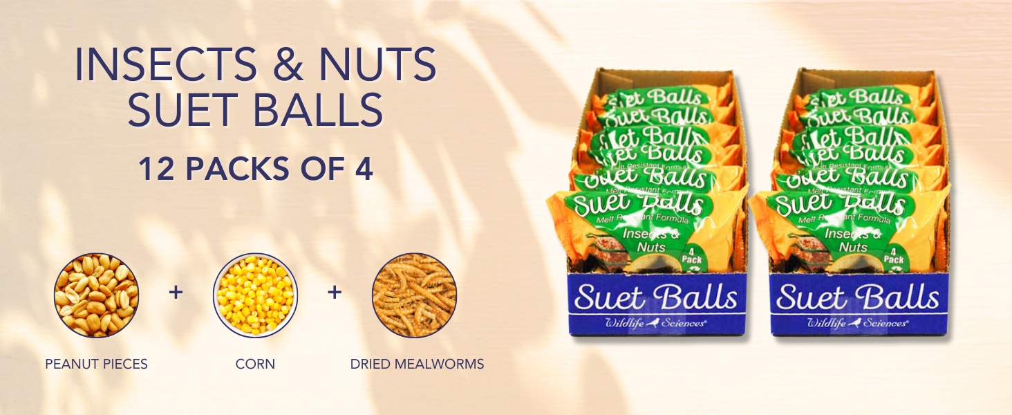 Wildlife Sciences Insects &amp;amp; Nuts Suet Balls, 12 Packs of 4