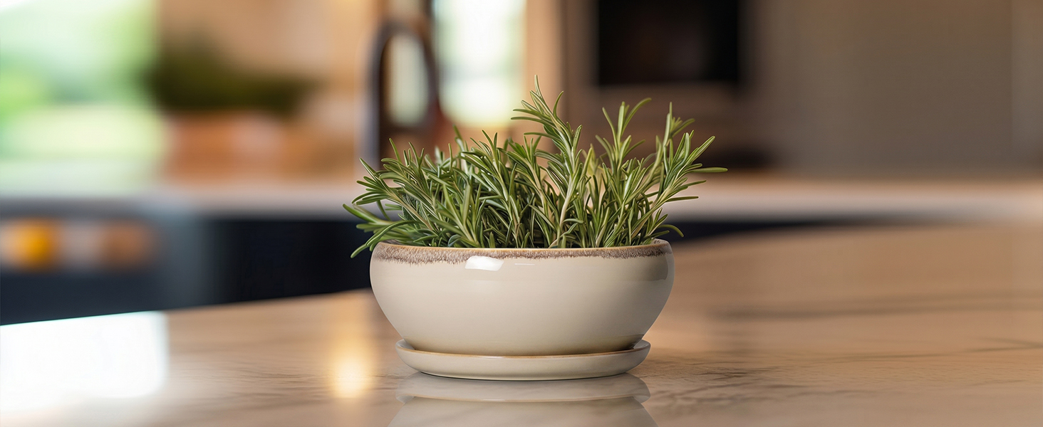 ceramic planters for indoor plants