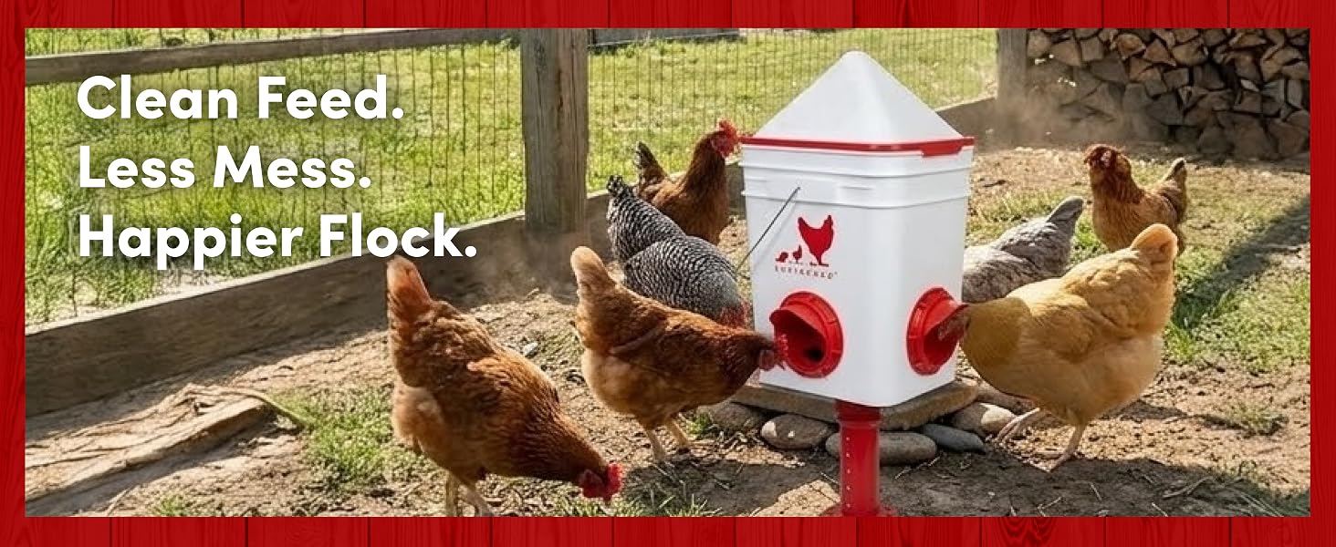 Clean Feed. Less Mess. Happier Flock