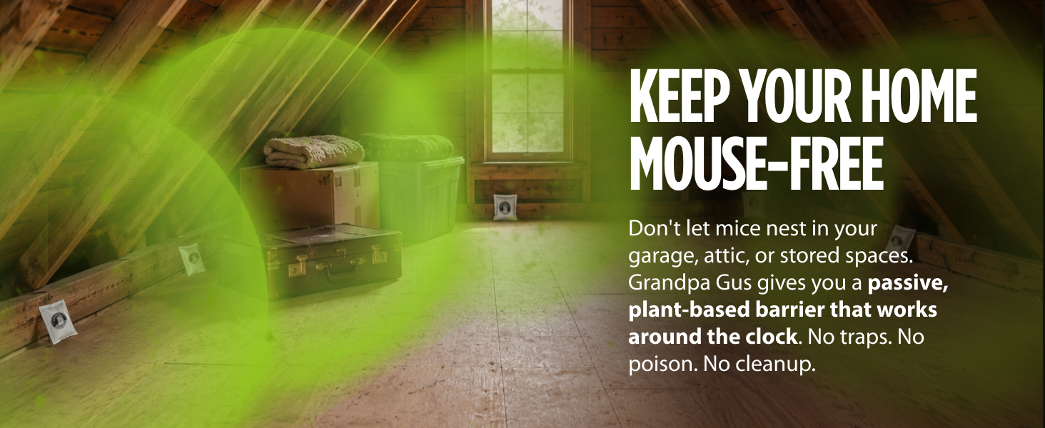 Keep your home mouse-free