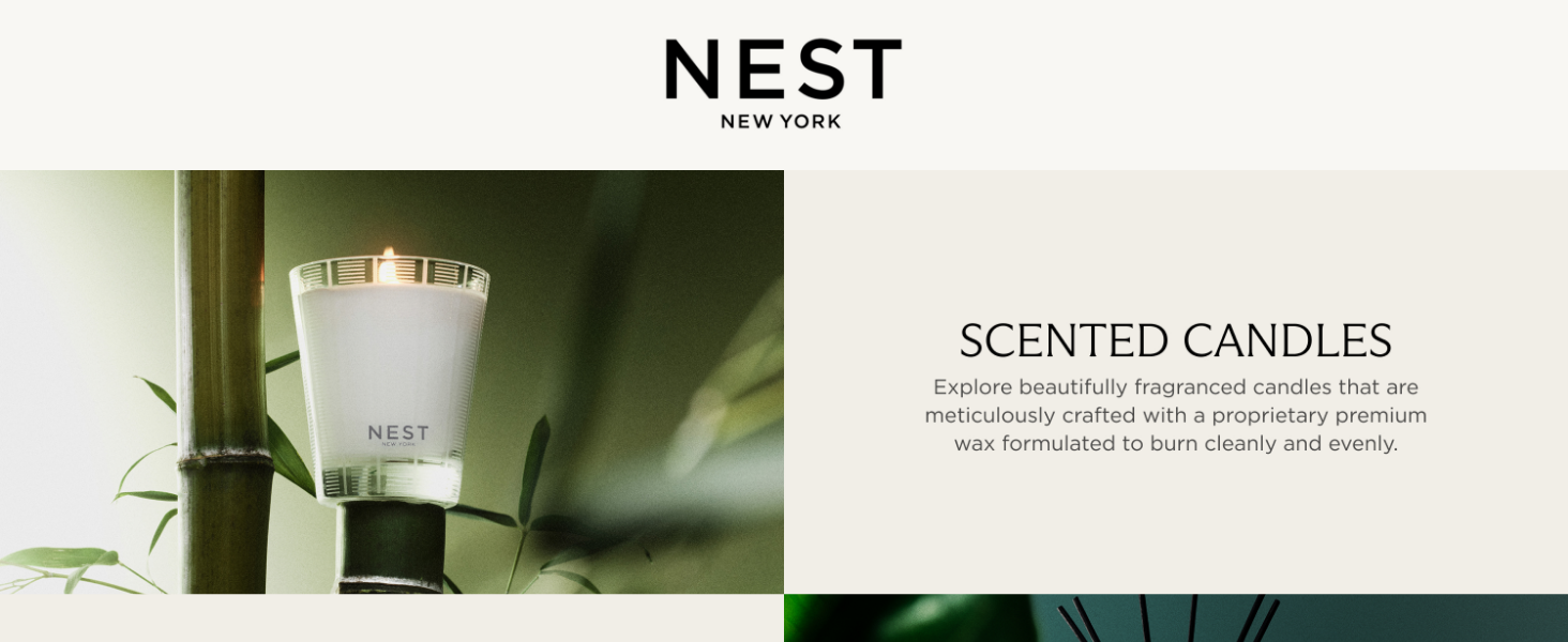 Nest