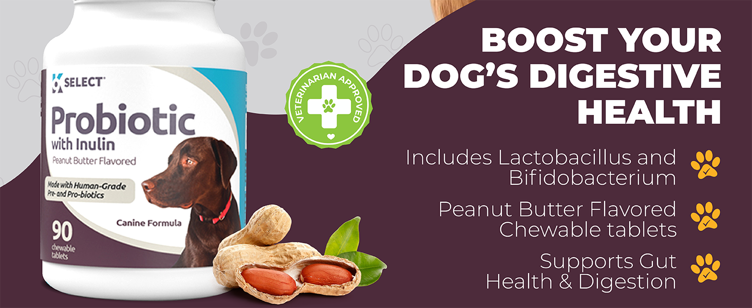 Dog Health Supplement for All Sizes