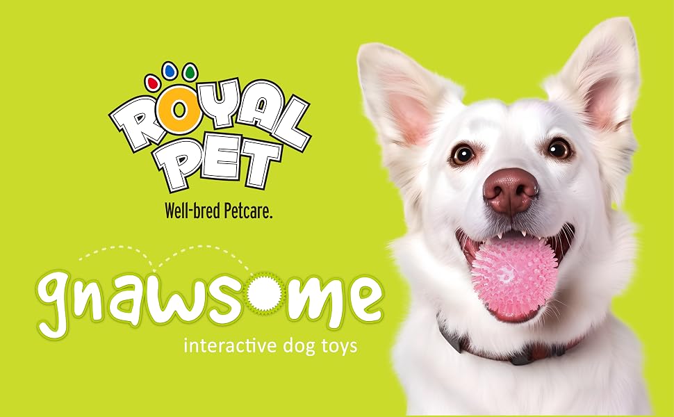royal pets interactive dog toys