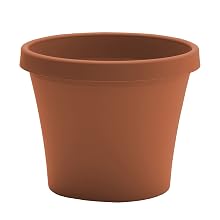 Terra pot planter in Terra Cotta color