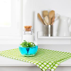 plant parent green thumb venus flytrap fly trap kitchen