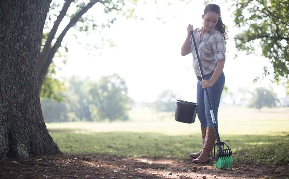 person using stab-a-nut small acorn picker upper harvesting and collecting acorns