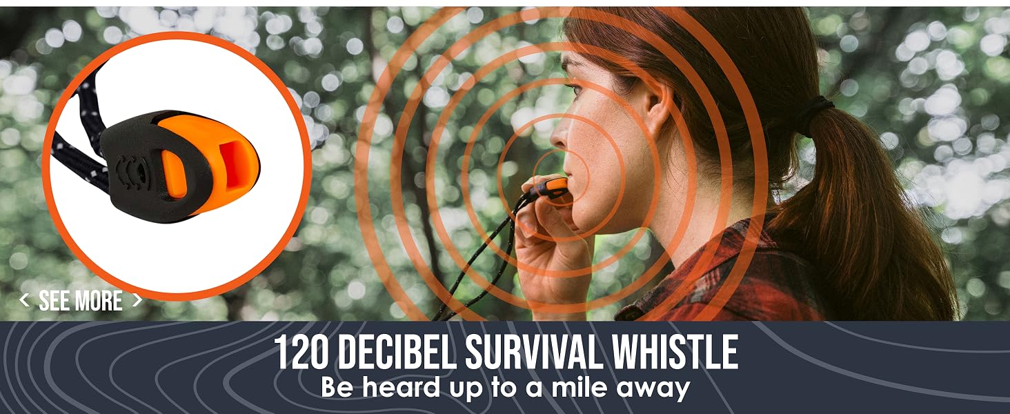 Whistle