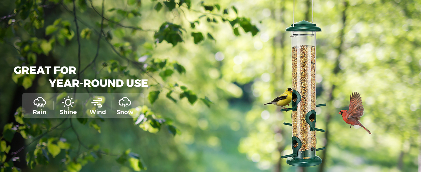 finch bird feeder