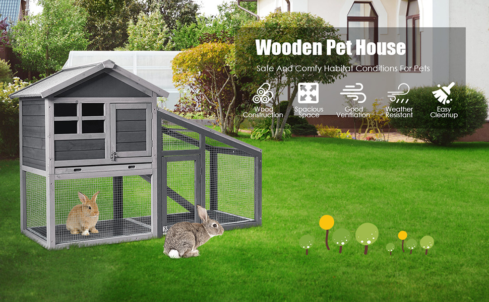 Chicken Coop