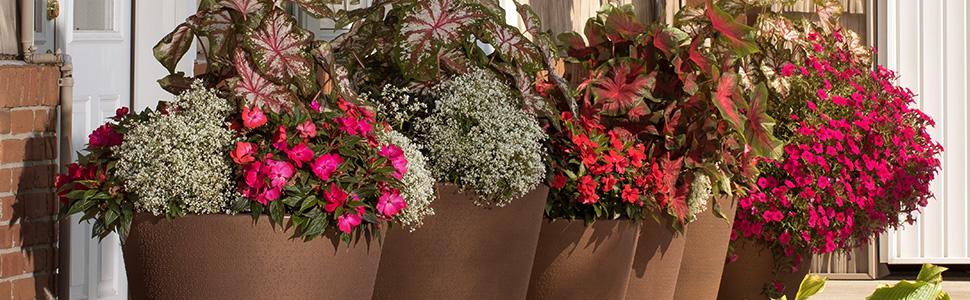 self-watering containers, planters, garden, flowers, watering flowers, water plants, crescent garden
