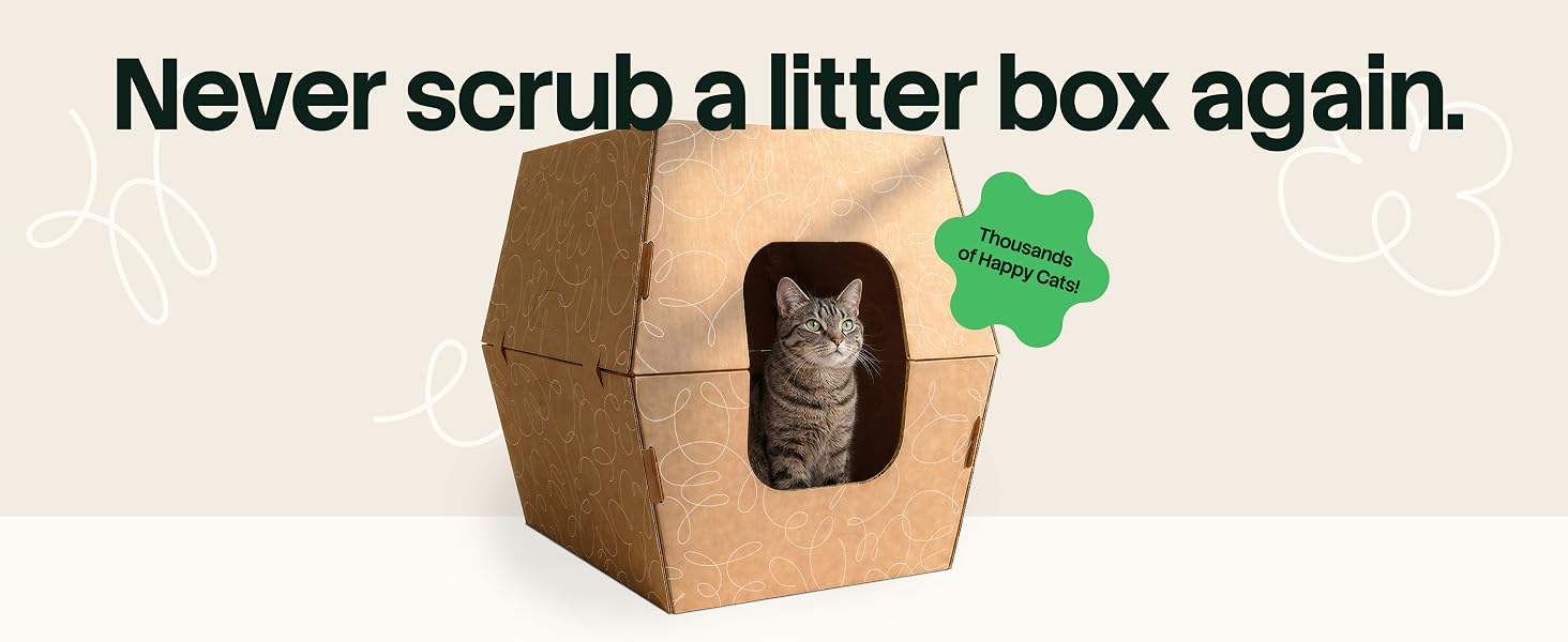 Never scrub a litter box again - a cat inside a cardboard disposable litter box