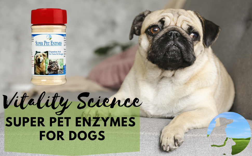 organic enzymes for dogs all natural safe effective non toxic detox holistic remedies