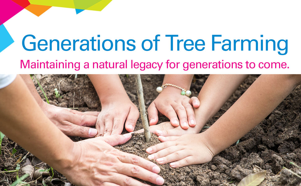 Planting a tree “Generations of tree farming, maintaining a natural legacy for generations to come.”