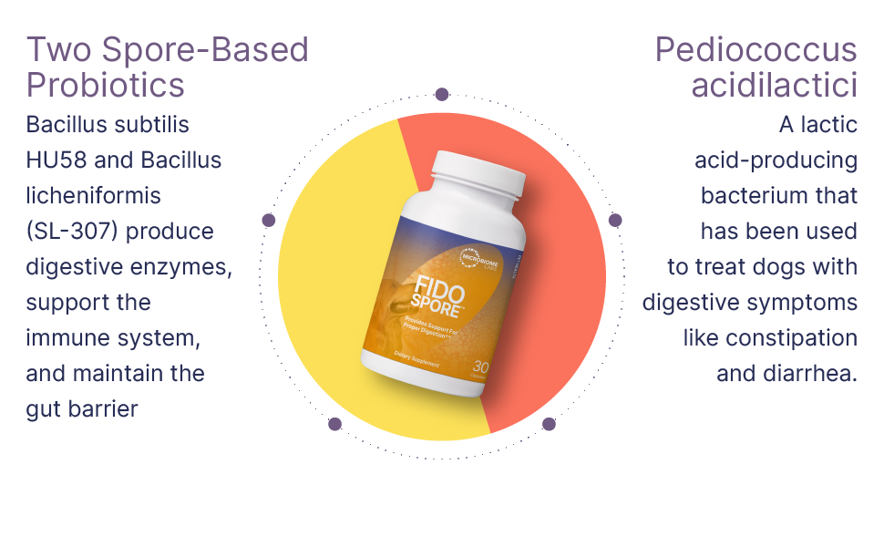 dog probiotics and digestive enzymes probiotic for dogs dog health supplies dog supplements