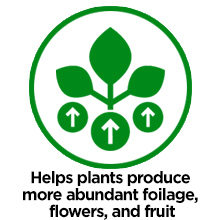 trees lotus humic juice focus bloom build earth fruit rose rapid stash blend guano green grape bloom
