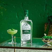 The Spirit of Gin