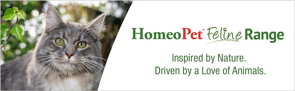 The HomeoPet logo beside an adult cat