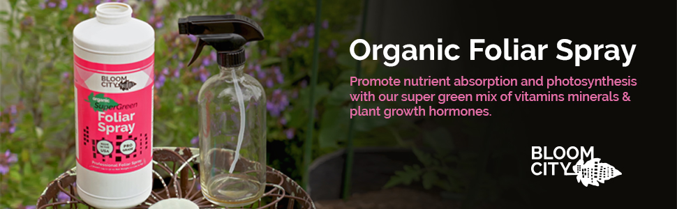 Product Header