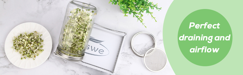 Sprout growing kit