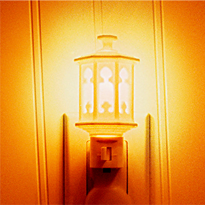 led light bulb