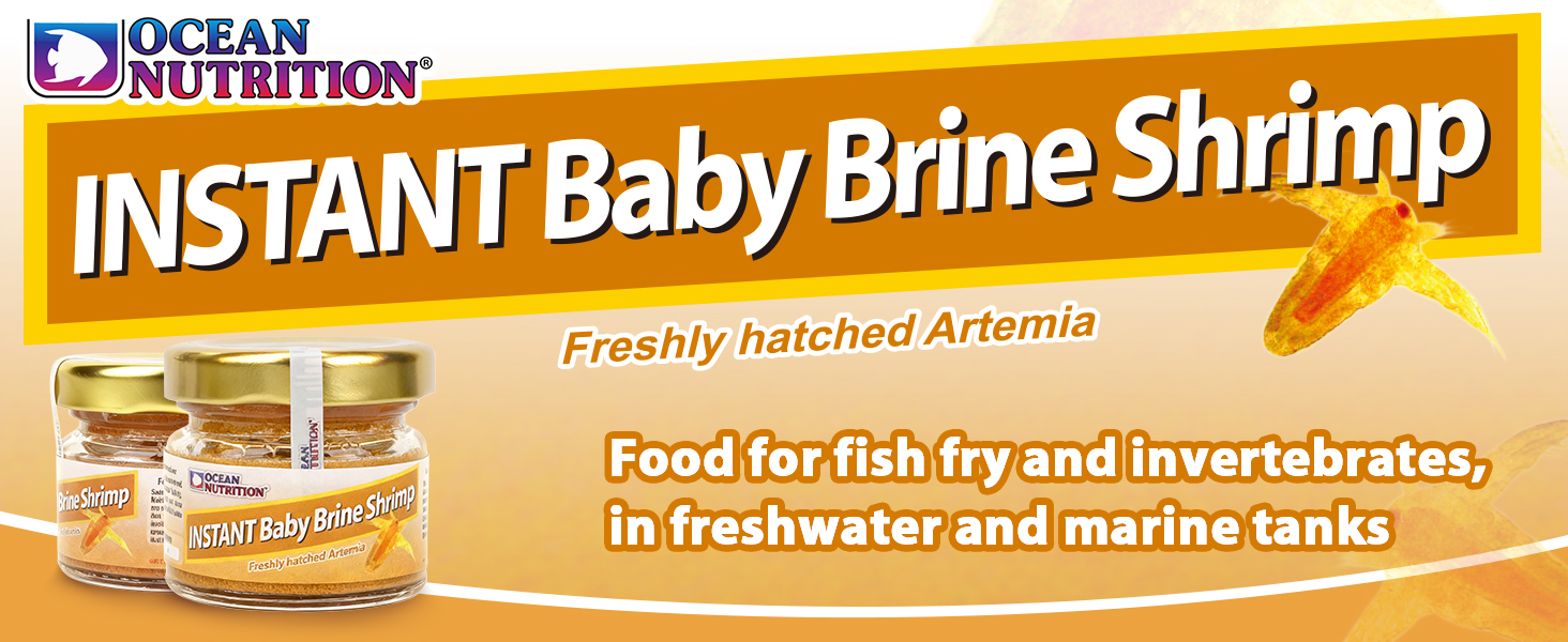 Freshly Hatched Artemia