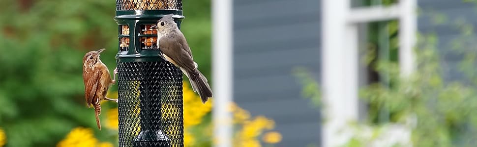 squirrel buster, bird feeder, squirrel proof