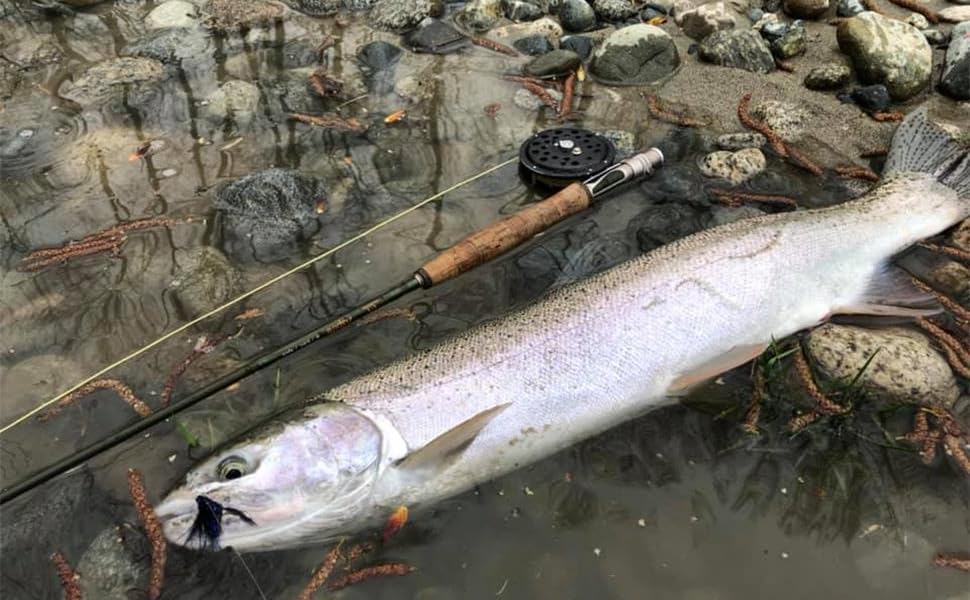 maxcatch advance fly rod